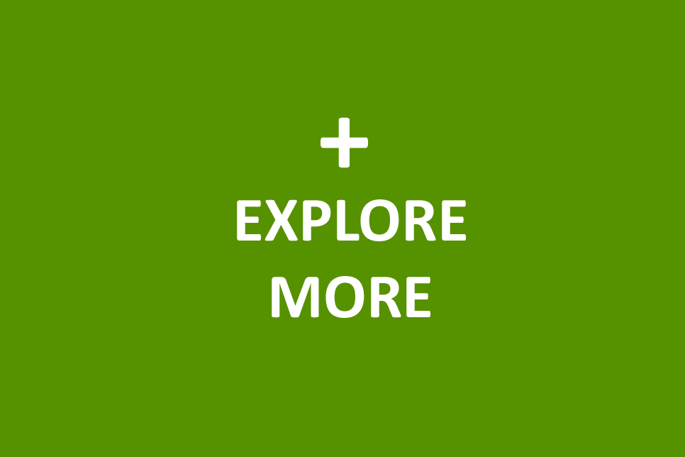 explore more